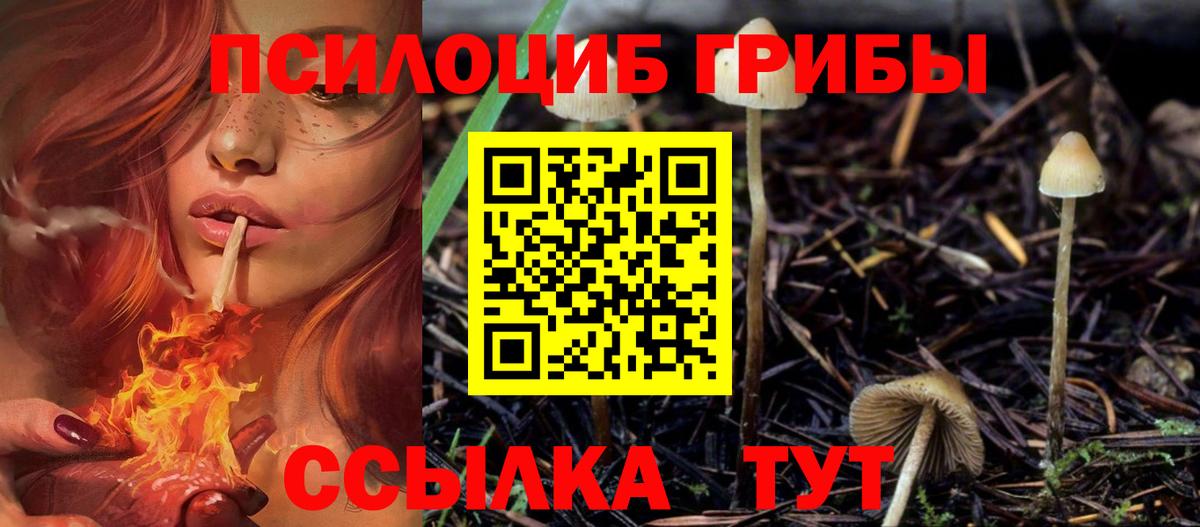 Псилоцибиновые грибы Cubensis Удомля