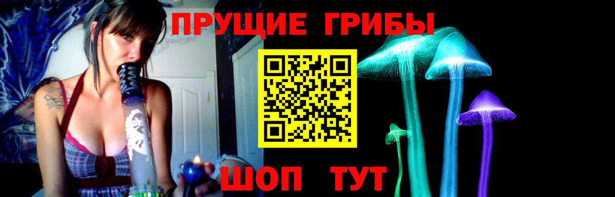 Галлюциногенные грибы MAGIC MUSHROOMS  Вход с VPN  Удомля 